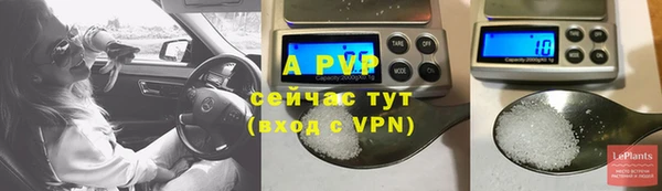 экстази Белокуриха